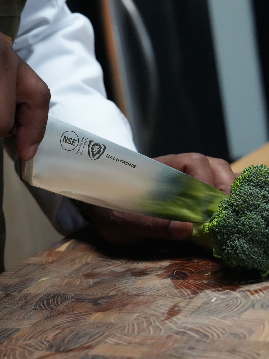 Gladiator Series Chef & BBQ Essentials |  8" Chef's Knife + 8" Chef-Cleaver Hybrid - The Crixus