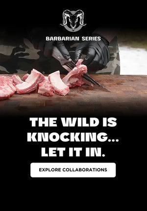The Barbarian Series