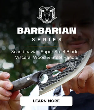The Barbarian Series
