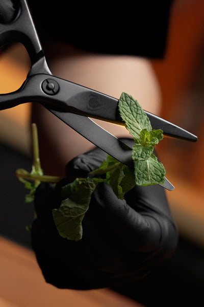 Professional Kitchen Scissors | Black Stainless Steel | Dalstrong ©