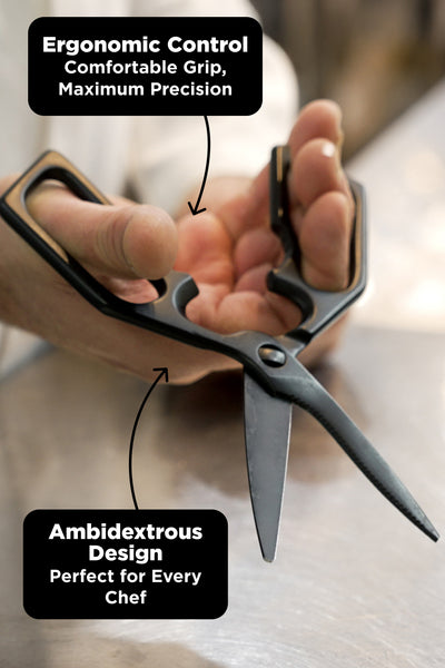 Professional Kitchen Scissors | Black Stainless Steel | Dalstrong ©