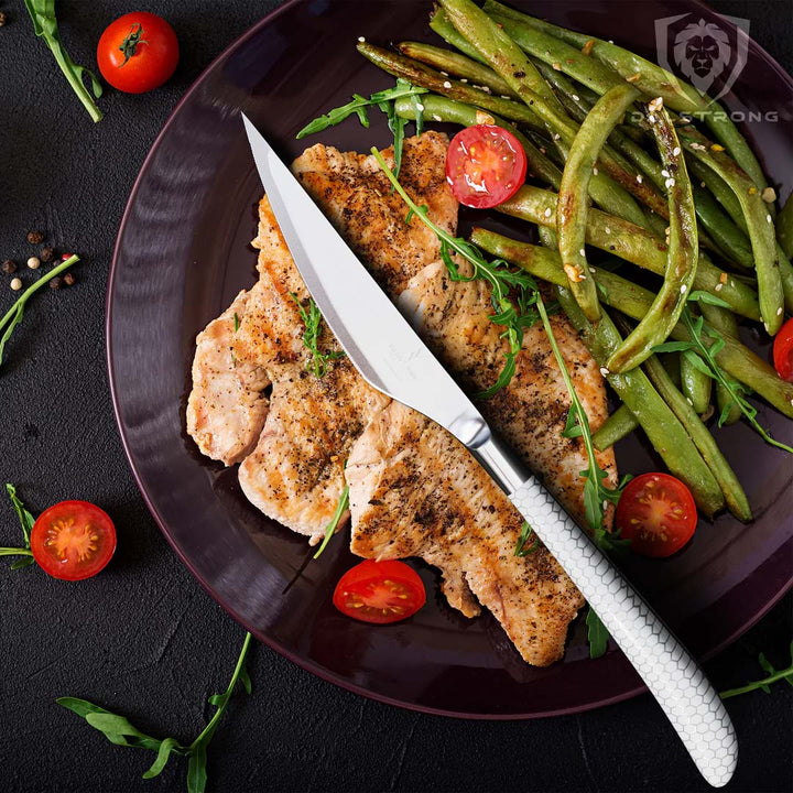 4-Piece Steak Knife Set | Frost Fire Series | NSF Certified | Dalstrong ©