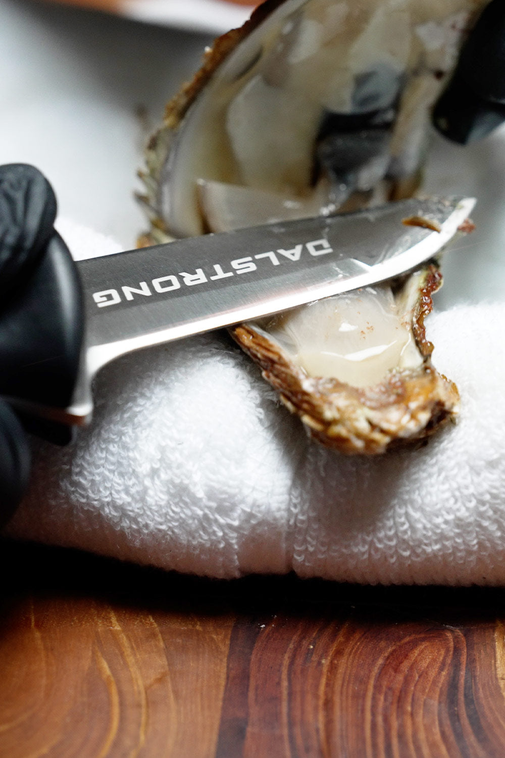 Boston Oyster Shucking Knife 3" | Gladiator Series | NSF Certified | Dalstrong ©