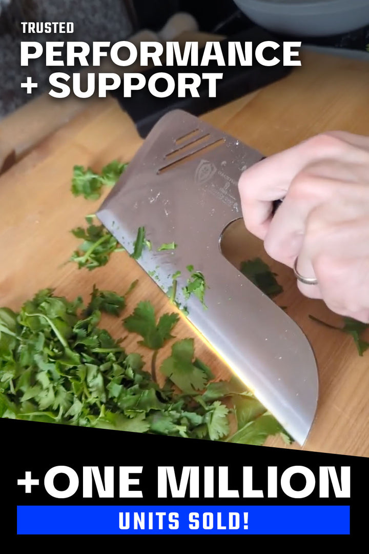 Menkiri Noodle Knife 9.5" | Gladiator Series | NSF Certified | Dalstrong ©