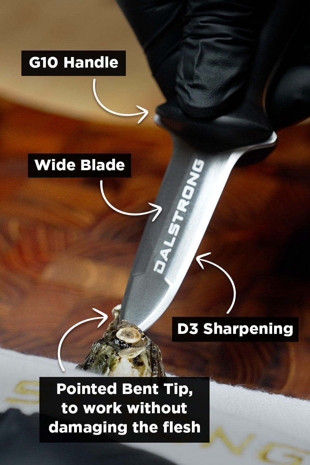 Boston Oyster Shucking Knife 3" | Gladiator Series | NSF Certified | Dalstrong ©