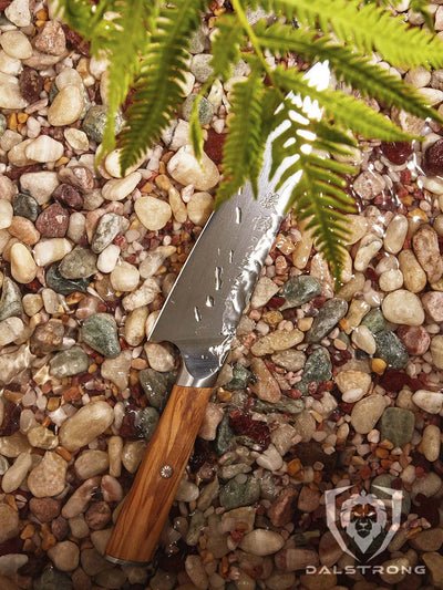 Chef Knife 8" | Olive Wood Handle | Phantom Series | Dalstrong ©