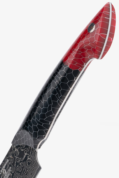 Crixus Knife 8" | Scorpion Series | Dalstrong ©