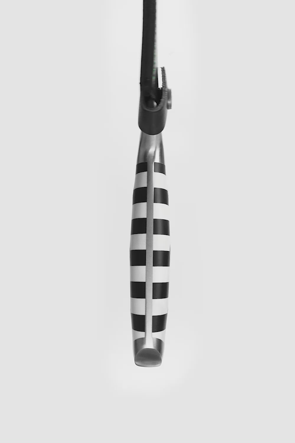 2 Piece Knife Set | Beetlejuice™ Edition | Dalstrong ©