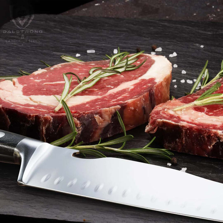 BBQ & Pitmaster Meat Knife 8" with Forked Tip & Bottle Opener | Gladiator Series | NSF Certified | Dalstrong ©