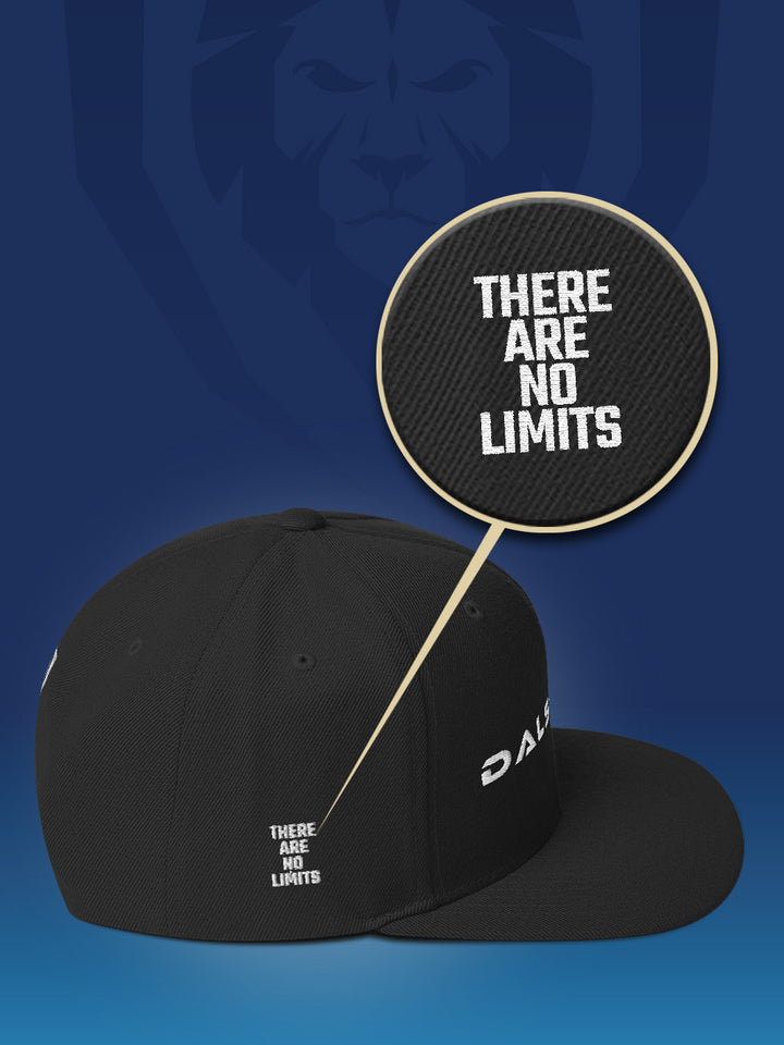 Make It Snappy Snapback Hat - Front to Back Logo | Apparel | Dalstrong ©