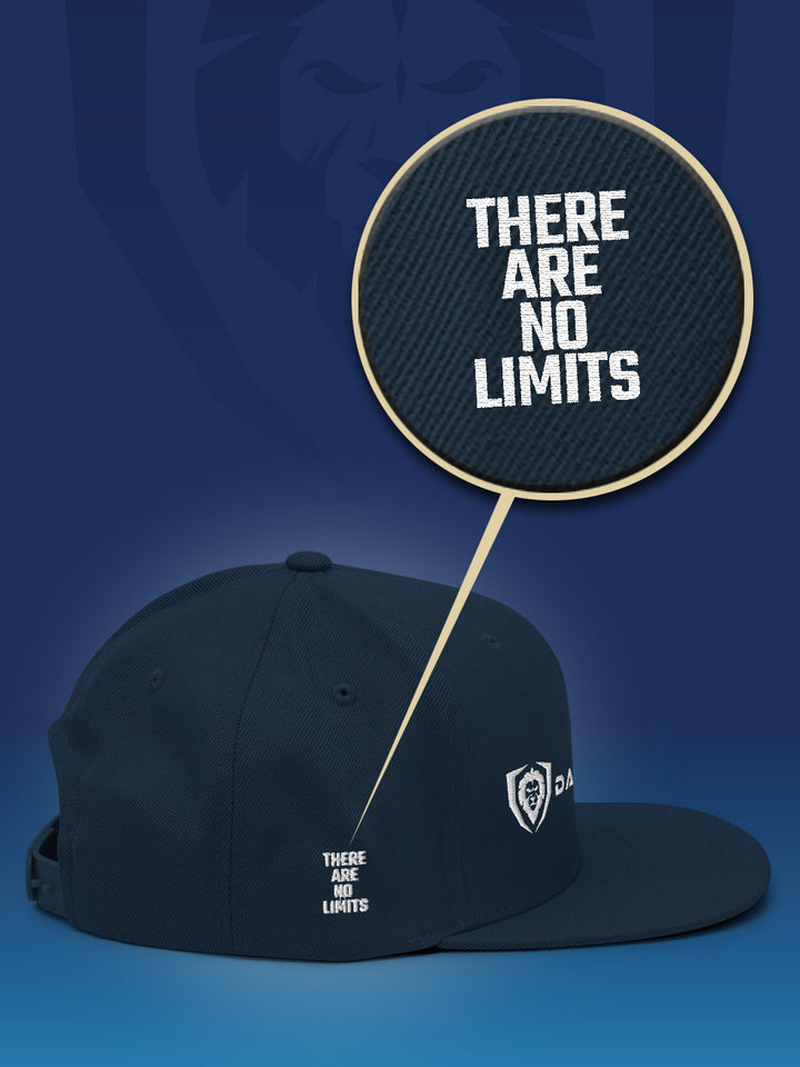 Make It Snappy Snapback Hat - Classic Logo | Apparel | Dalstrong ©