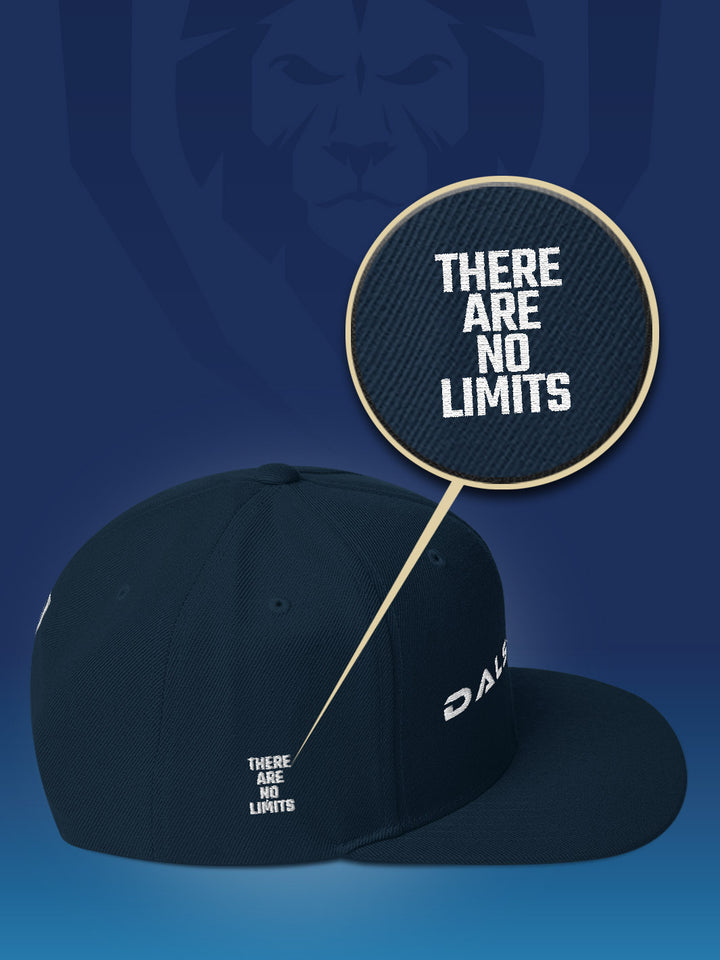 Make It Snappy Snapback Hat - Front to Back Logo | Apparel | Dalstrong ©