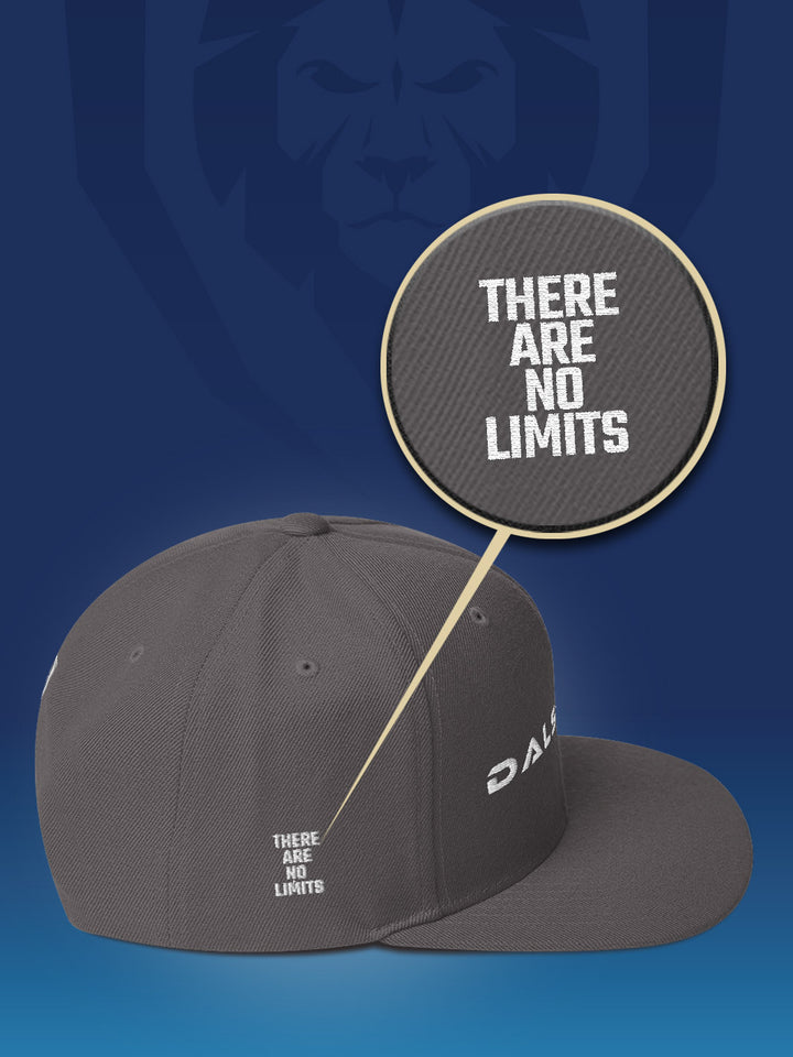 Make It Snappy Snapback Hat - Front to Back Logo | Apparel | Dalstrong ©