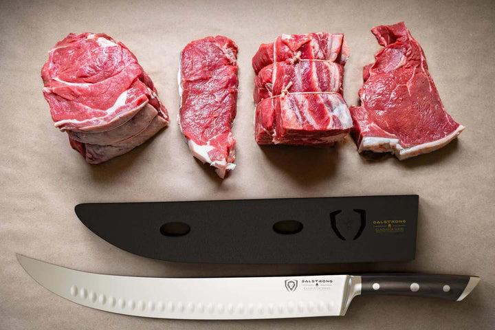 Butcher & Breaking Cimiter Knife 14" | Gladiator Series | NSF Certified | Dalstrong ©