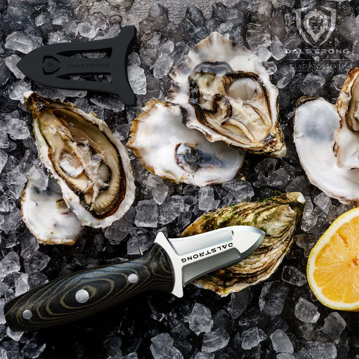 Professional Shellfish & Oyster Shucking Knife 3" | Gladiator Series | NSF Certified | Dalstrong ©