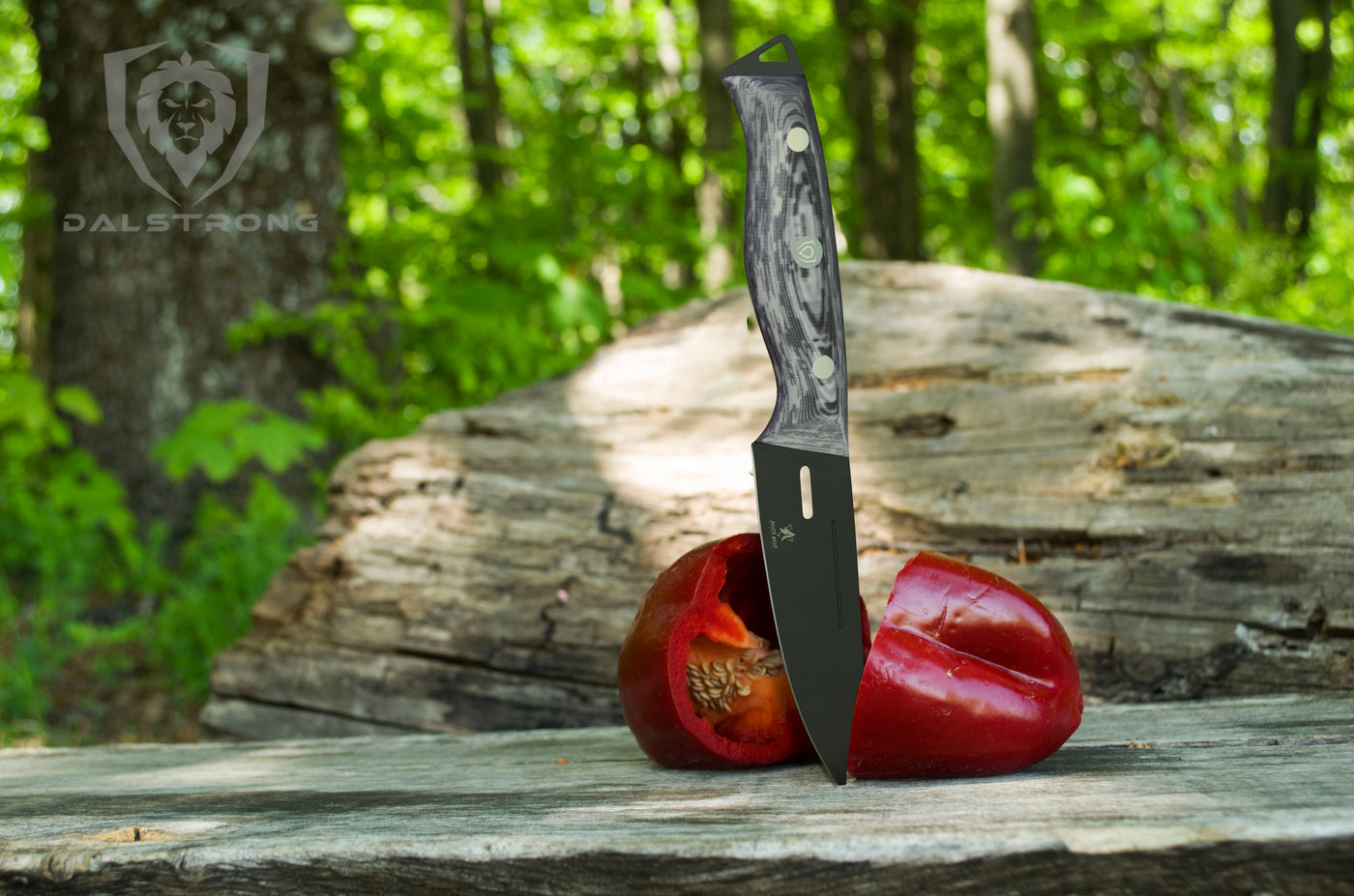 Paring Knife 4" | Delta Wolf Series | Dalstrong ©