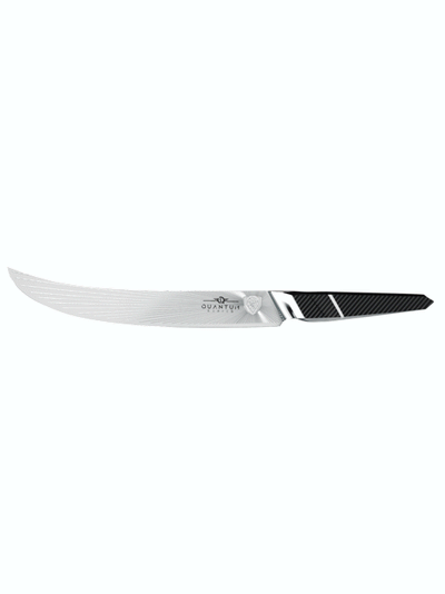 Butcher & Breaking Knife 10" | Quantum 1 Series | Dalstrong ©