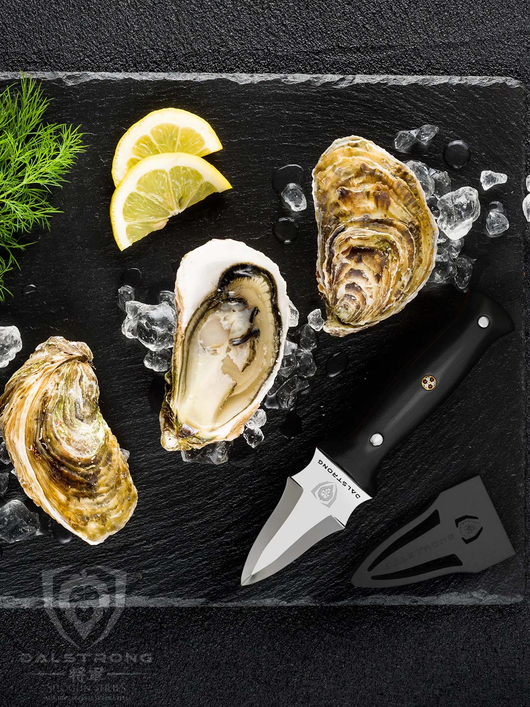 Professional Oyster & Clam Shucking Knife 3.5" | Shogun Series ELITE | Dalstrong ©