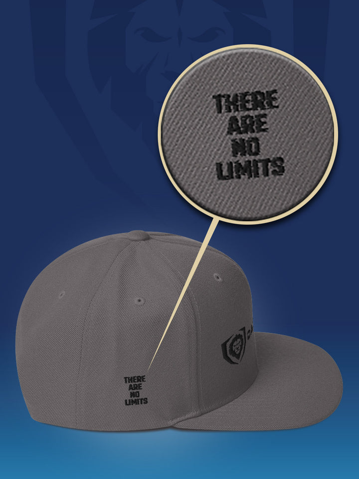 Make It Snappy Snapback Hat - Classic Logo | Apparel | Dalstrong ©
