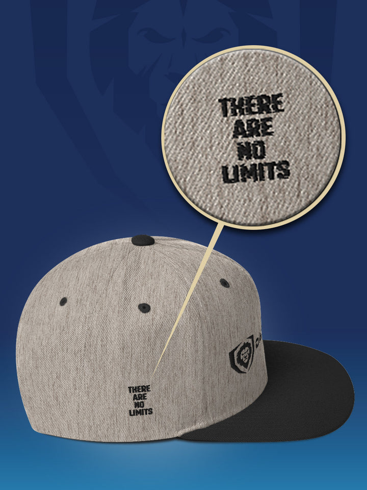 Make It Snappy Snapback Hat - Classic Logo | Apparel | Dalstrong ©